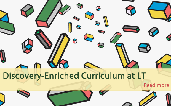 Discovery-Enriched Curriculum at LT